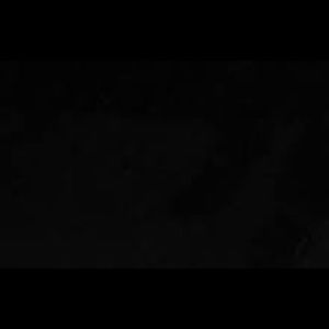 Meet your Posher, Albert